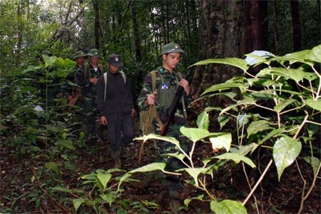 Những đôi chân không mỏi vượt thác, băng rừng vì bình yên bờ cõi.